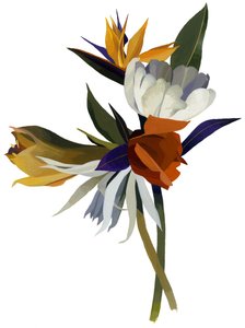 Image inconnue - Unbekannt Unbekannt